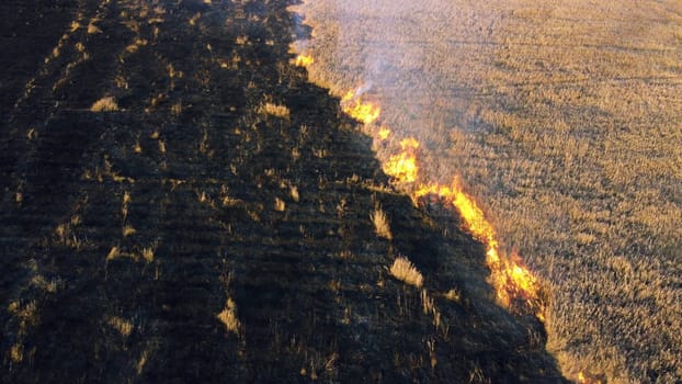 Aerial View Burning Dry Grass. Open Flames of Fire and Smoke. Yellow Dry Grass and Black Ash Burnt Plants. Ecological Catastrophy, Environmental, Natural disaster, Global Warming, Changing of Climate