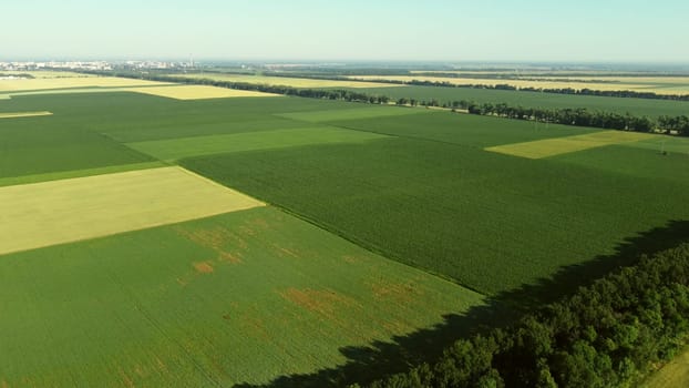 Aerial drone view flight over different agricultural fields sown with various rural agricultural cultures. Top view farmland and plantations. Landscape fields agro-industrial culture. Countryside