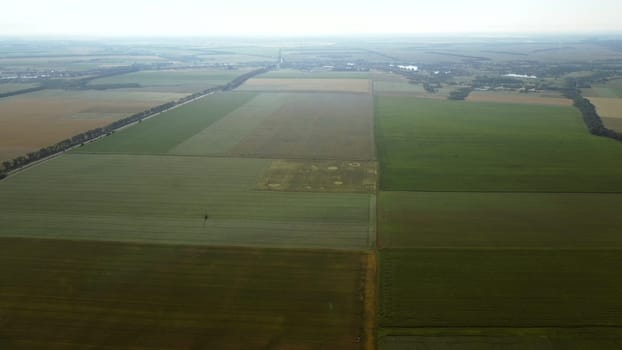 Aerial drone view flight over different agricultural fields sown with various rural agricultural cultures. Top view farmland and plantations. Landscape fields agro-industrial culture. Countryside
