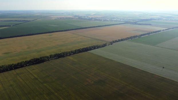 Aerial drone view flight over different agricultural fields sown with various rural agricultural cultures. Top view farmland and plantations. Landscape fields agro-industrial culture. Countryside