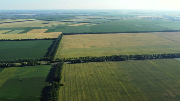 Aerial drone view flight over different agricultural fields sown with various rural agricultural cultures. Top view farmland and plantations. Landscape fields agro-industrial culture. Countryside