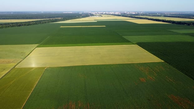 Landscape green agricultural fields sown with different agricultural crops. Aerial drone view. Rural scenery. Agricultural grounds. Farmland. Agricultural natural background. Top view multiple fields