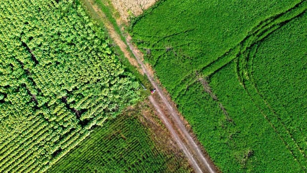 Girl sitting on ground of dirt road between agricultural fields. Drone rises up. Panoramic top view parts of different agricultural fields. Yellow wheat field, yellow-green sunflower field and other