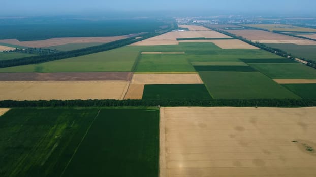 Panoramic top view of different agricultural fields. Parts of yellow wheat field and fields with other green agricultural plants. Aerial drone view. Agrarian agricultural landscape. Natural background