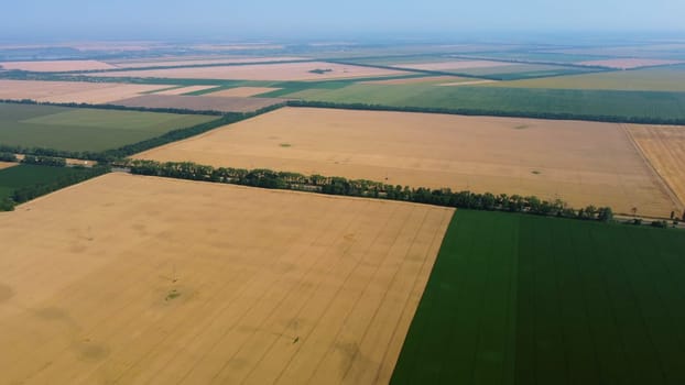 Aerial drone view over between yellow wheat field and green agricultural field. Top view pieces of fields. Rural landscape scenery country. Agricultural natural background. Crop fields