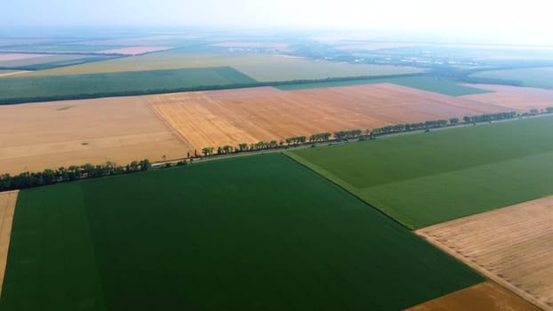 Panoramic top view of different agricultural fields. Yellow wheat fields and fields with other green agricultural plants. Aerial drone view. Agrarian agricultural background. Circle rotation view.
