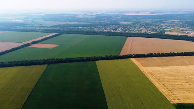 Panoramic top view of different agricultural fields. Yellow wheat fields and fields with other green agricultural plants. Aerial drone view. Agrarian agricultural background. Circle rotation view.