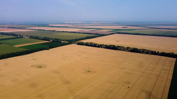 Big wheat field. Different agricultural fields. Panoramic top view. Landscape yellow wheat field and fields with green agricultural plants. Aerial drone view. Agrarian background. Circle rotation view