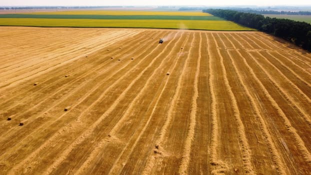 Hay bale tractor. Tractor harvesting hay into bales in field on sunny day. Aerial drone view. Tractor drives across field and makes bales from cut straw. Field and agricultural work, baler. Ukraine