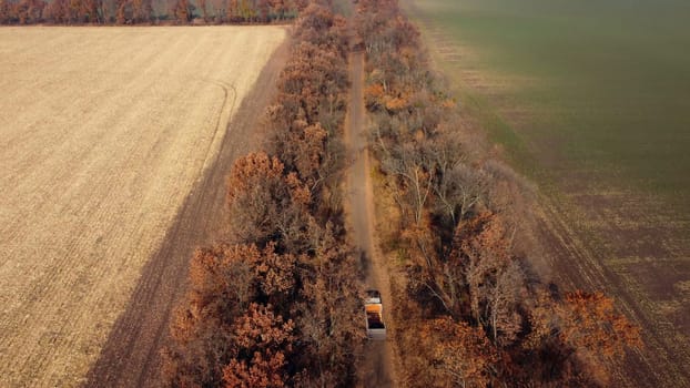 Aerial Drone View Flight Over Truck with Empty Body Driving Along Dirt Road Between Trees and Filleds on Autumn Sunny Day. Concept Harvesting, Harvest, Transportation, Agrarian, Farming, Agriculture