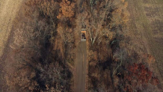 Aerial Drone View Flight Over Truck with Empty Body Driving Along Dirt Road Between Trees and Filleds on Autumn Sunny Day. Concept Harvesting, Harvest, Transportation, Agrarian, Farming, Agriculture