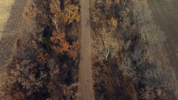 Landscape view of dirt rural road between trees and fields on sunny autumn day. Aerial Drone View Flight Over country road among trees and dry fallen leaves. Scenery nature, traveling earth pathway