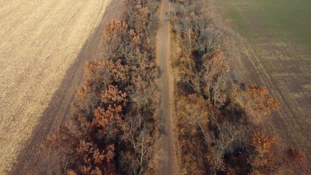 Landscape view of dirt rural road between trees and fields on sunny autumn day. Aerial Drone View Flight Over country road among trees and dry fallen leaves. Scenery nature, traveling earth pathway