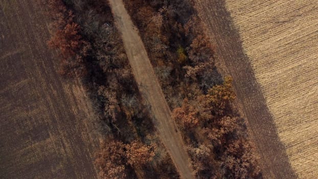 Landscape view of dirt rural road between trees and fields on sunny autumn day. Aerial Drone View Flight Over country road among trees and dry fallen leaves. Scenery nature, traveling earth pathway