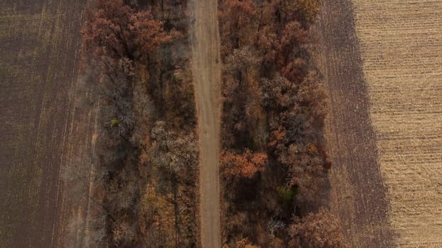 Landscape view of dirt rural road between trees and fields on sunny autumn day. Aerial Drone View Flight Over country road among trees and dry fallen leaves. Scenery nature, traveling earth pathway
