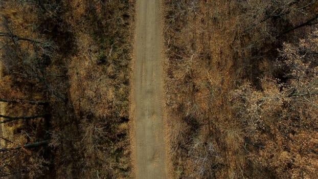 Landscape view of dirt rural road between trees and fields on sunny autumn day. Aerial Drone View Flight Over country road among trees and dry fallen leaves. Scenery nature, traveling earth pathway