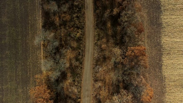 Landscape view of dirt rural road between trees and fields on sunny autumn day. Aerial Drone View Flight Over country road among trees and dry fallen leaves. Scenery nature, traveling earth pathway