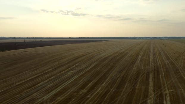 Field after harvest at dusk dawn. Sky clouds. Panoramic view. Countryside, horizon line. Crop fields. Top view farmland and plantations. Landscape rural fields agro-industrial culture. Tire tracks