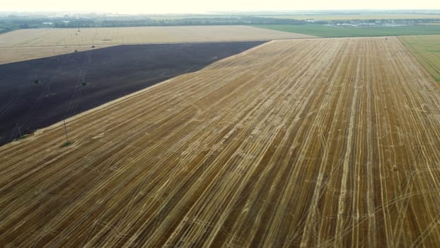 Field after harvest at dusk dawn. Panoramic view. Countryside, horizon line. Crop fields. Top view farmland and plantations. Landscape rural fields agro-industrial culture. Tire tracks