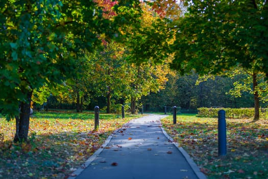 Autumn landscape of city park, beautiful view of mottled leaves