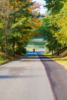 Autumn landscape of city park, beautiful view of mottled leaves