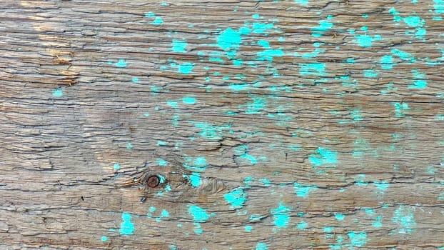 A close-up view of a wooden surface showing bright turquoise paint splatters, highlighting texture.