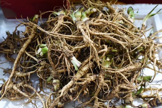 Many ginseng roots in vietnamese market