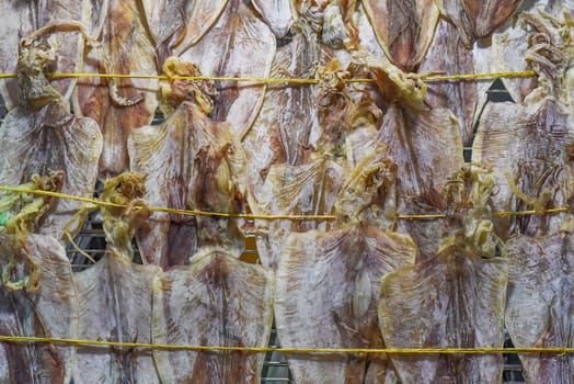 Many dried squid in vietnamese night market in Da Lat