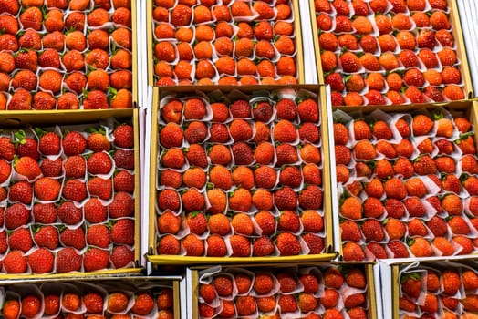 Many fresh natural strawberry in vietnamese night market in Da Lat
