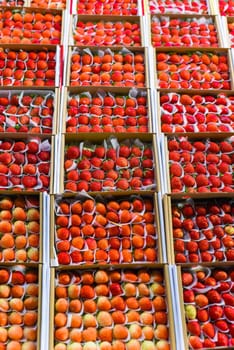 Many fresh natural strawberry in vietnamese night market in Da Lat