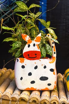 Vase made of plastic bottle with potted plant