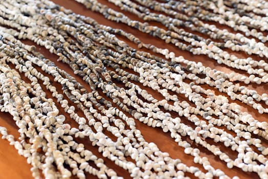 prepared threads with seashells for decorating and handmade in vietnam