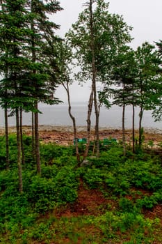 Views of Gouldsboro Bay, Maine