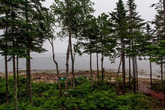 Views of Gouldsboro Bay, Maine