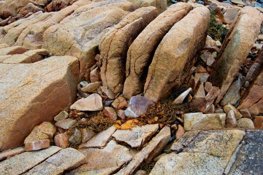 Views of Gouldsboro Bay, Maine