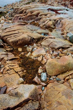 Views of Gouldsboro Bay, Maine