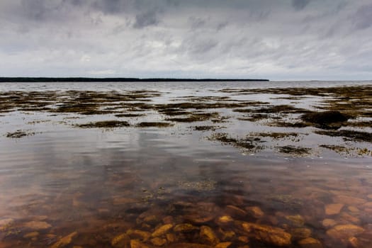 Views of Gouldsboro Bay, Maine