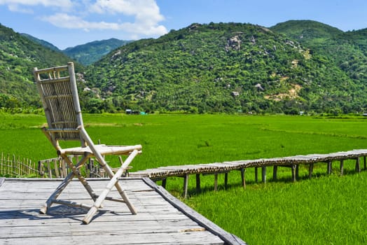 Bright landscape of rice field and wooden pier in Vietnam on a sunny day