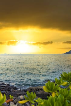 Orange yellow sunset under sea and greens in Vietnam