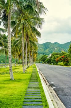 Tropical vertical landscape with road and palms in Vietnam in An Vien village