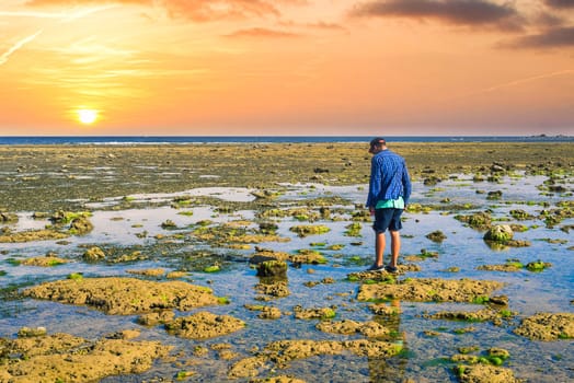 Man walking on seacoast at nightfall in low tide time.