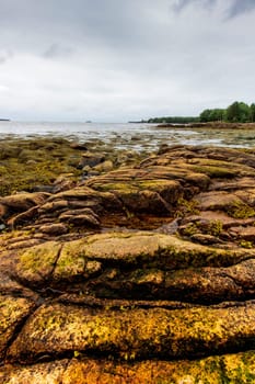 Views of Gouldsboro Bay, Maine
