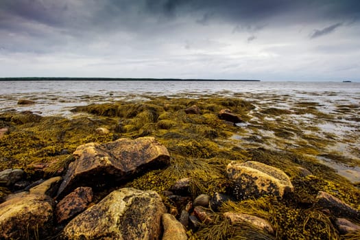 Views of Gouldsboro Bay, Maine