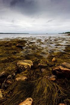 Views of Gouldsboro Bay, Maine