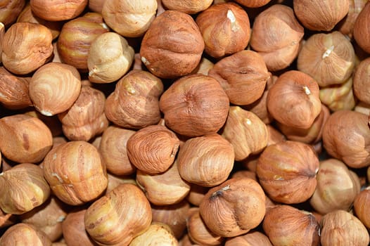 A lot of peeled appetizing hazelnuts
