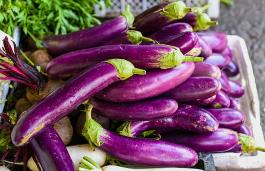 Many eggplants at the Vinh Hai market of Nha Trang of Vietnam