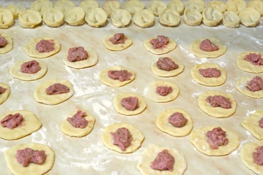Raw homemade dumplings with minced chicken on cutting board