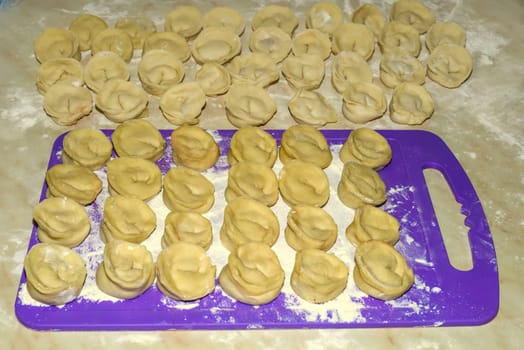 Raw homemade dumplings with minced chicken on cutting board