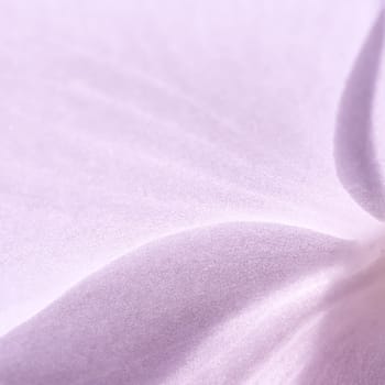 Pale purple orchid phalaenopsis flower petals, macro. Floral background