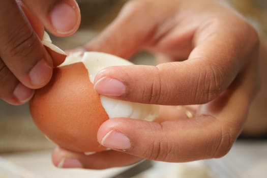 A person carefully peels a boiled egg shell in a kitchen.